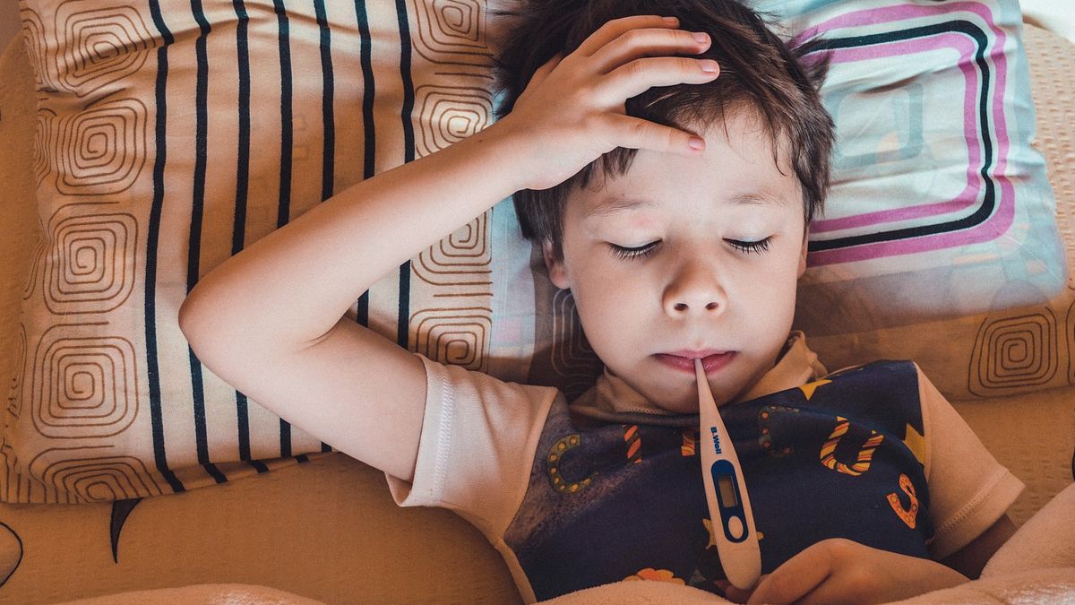 Se estudia el primer tratamiento contra el Síndrome Urémico Hemolítico